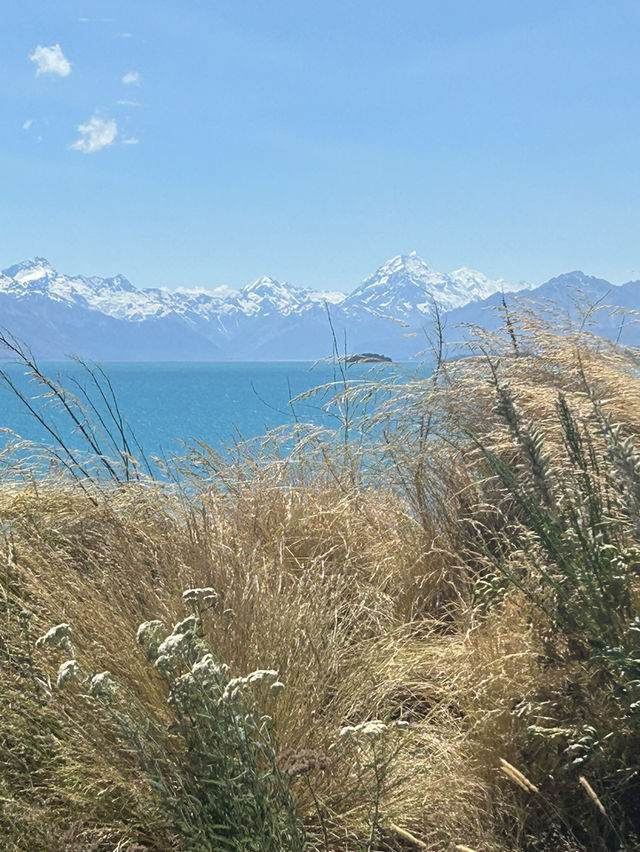 🌊🏔️ Lake Tekapo & Mount John: A Hike to the Stars