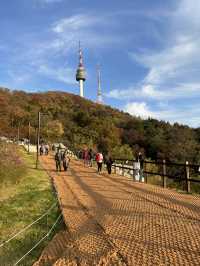 🌆🌿 Seoul from Above: N Seoul Tower & Namsan Park