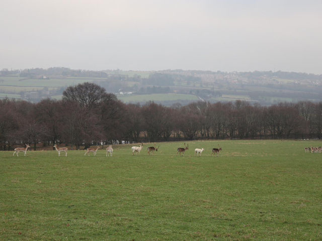 Grazing the land