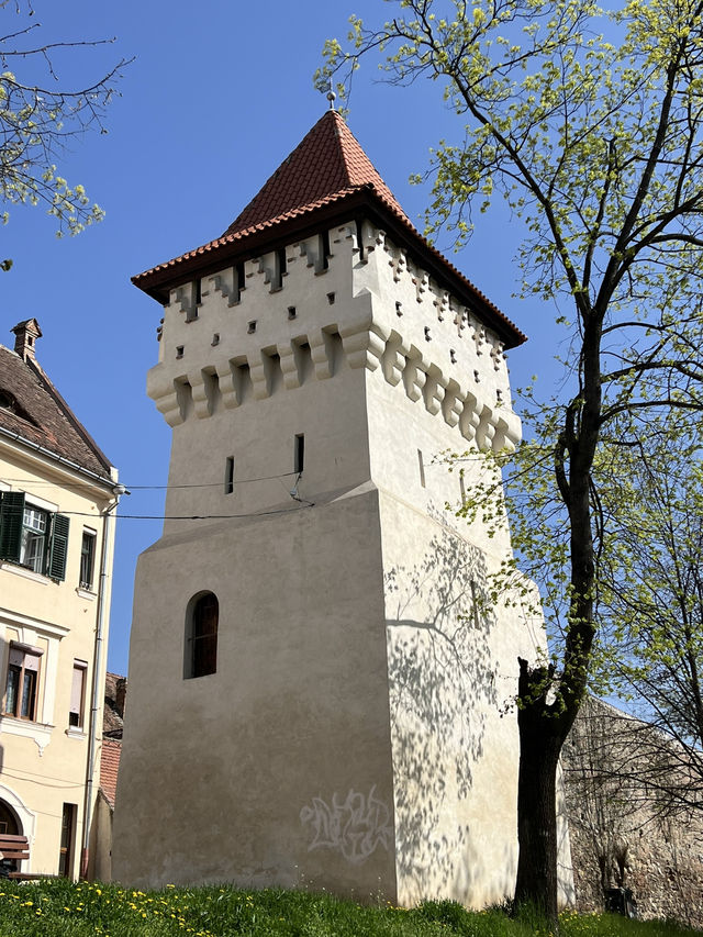 🇷🇴 羅馬尼亞錫比烏（Sibiu） 👀