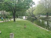 Bedford