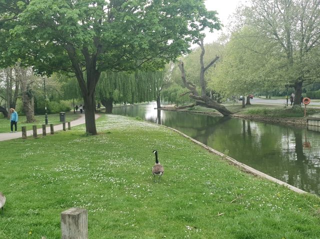 Bedford