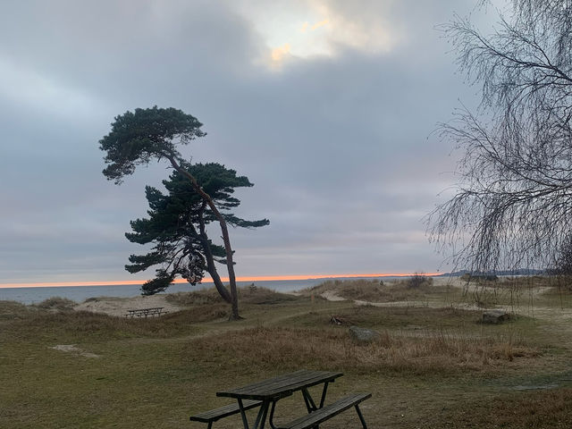 From Sky-High Sculptures to Stone Circles—Malmö’s Got Range!