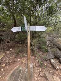 ケープタウンのシンボルであるテーブルマウンテンに登ってみた⛰️
