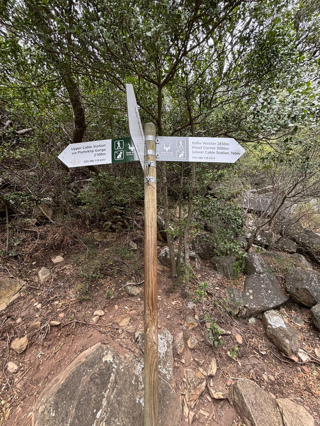 ケープタウンのシンボルであるテーブルマウンテンに登ってみた⛰️