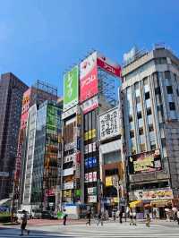 🌸 Seasonal Tokyo: What to See in Spring, Summer, Autumn, and Winter