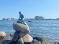 Summer in Copenhagen: A Free-View Adventure Through History and Harbor