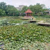 Beautiful parks, Zhongshan park, Botanical garden etc.
