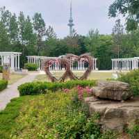 Beautiful parks, Zhongshan park, Botanical garden etc.
