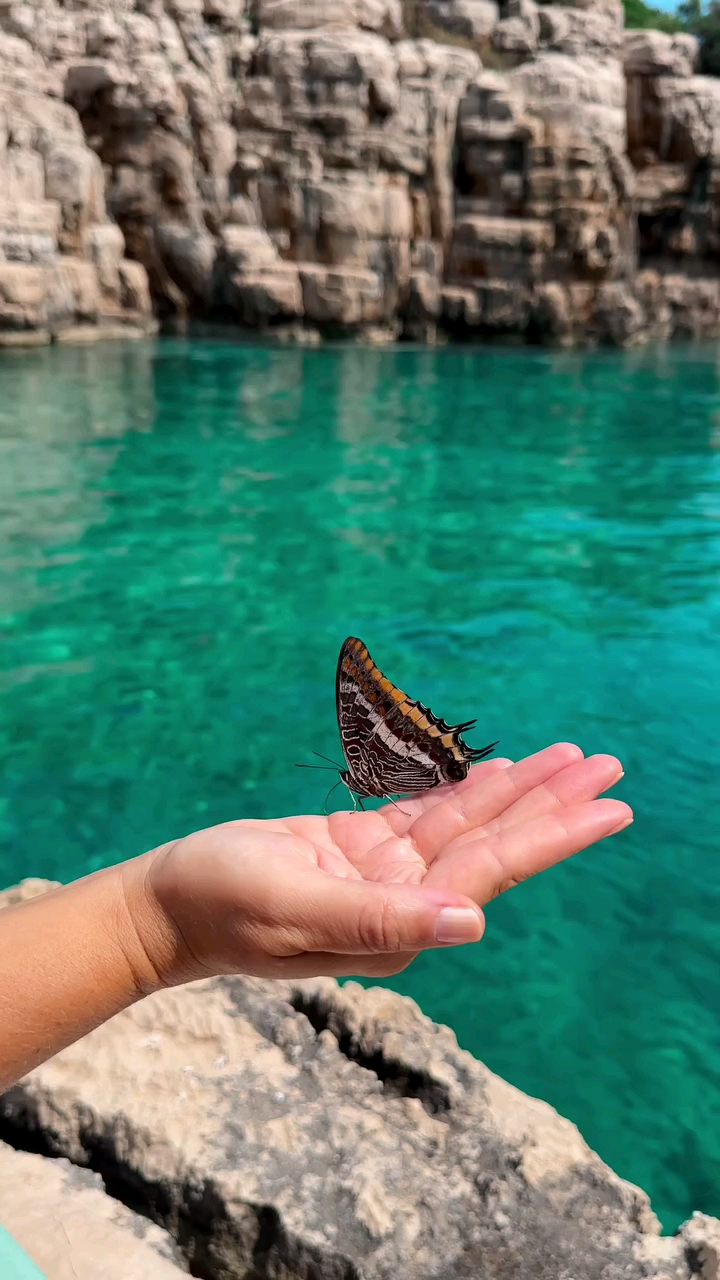 A Guide to Visiting Hvar, Croatia — The Adriatic’s Sun-Kissed Gem