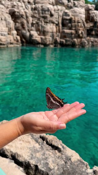 A Guide to Visiting Hvar, Croatia — The Adriatic’s Sun-Kissed Gem