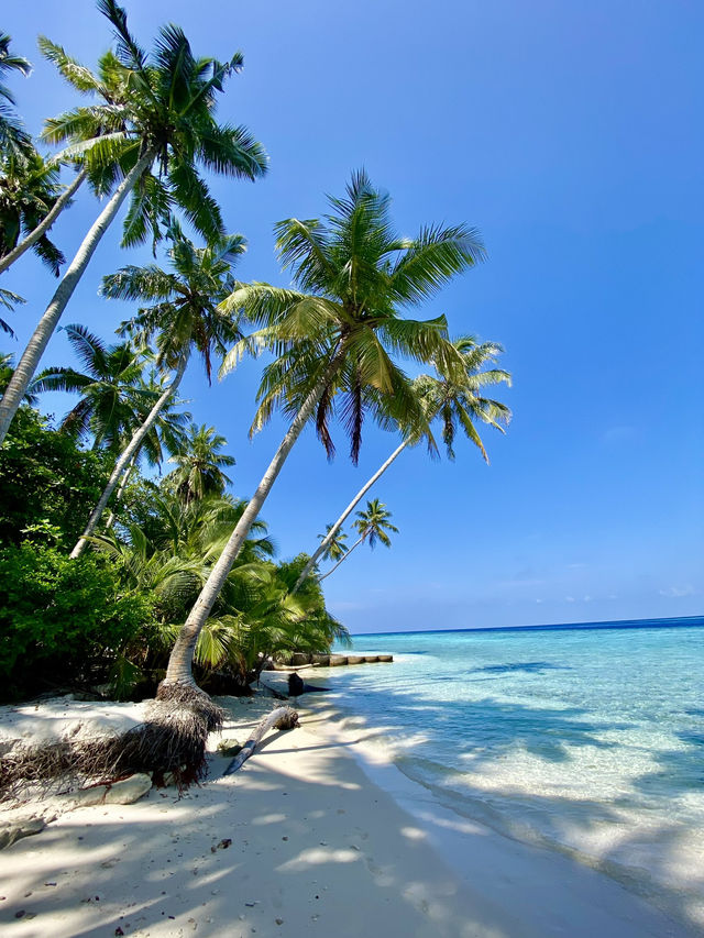 Traveling the Maldives During Ramadan: My Best and Worst Decision