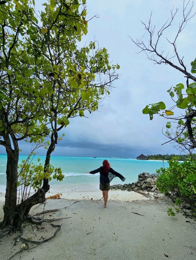 🌊 Dhiffushi Island, Maldives – A Local Island Paradise Experience