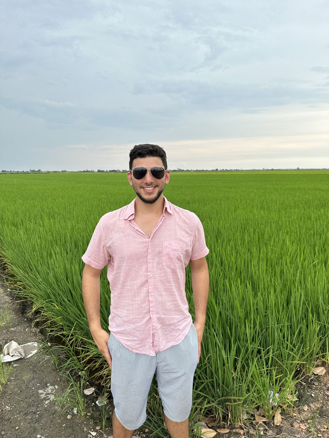 Sekinchan Paddy Gallery: Where Rice Meets Discovery
