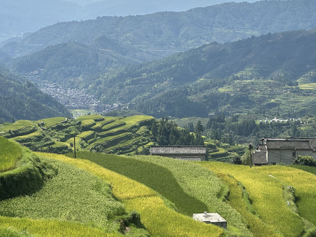 Epic Hike: Liping to Tang’an Dong Village—China’s Dreamy Terraced Trail 🌾✨