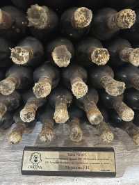 🍾 Cricova: Moldova's Sparkling Presidential Cellar