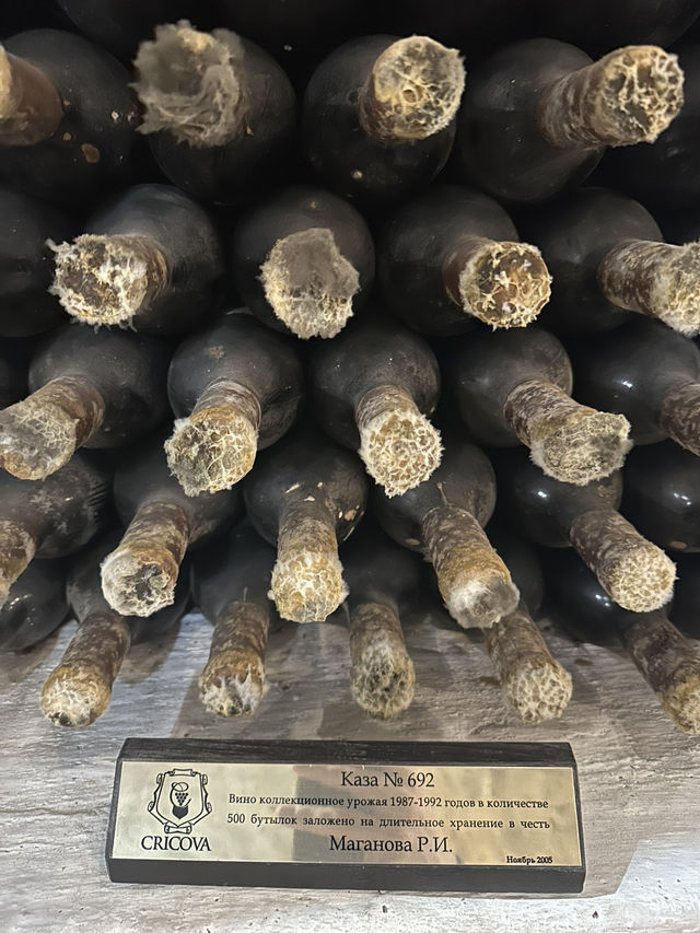 🍾 Cricova: Moldova's Sparkling Presidential Cellar