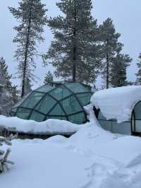 Finland | Stay in a glass igloo and enjoy the night 