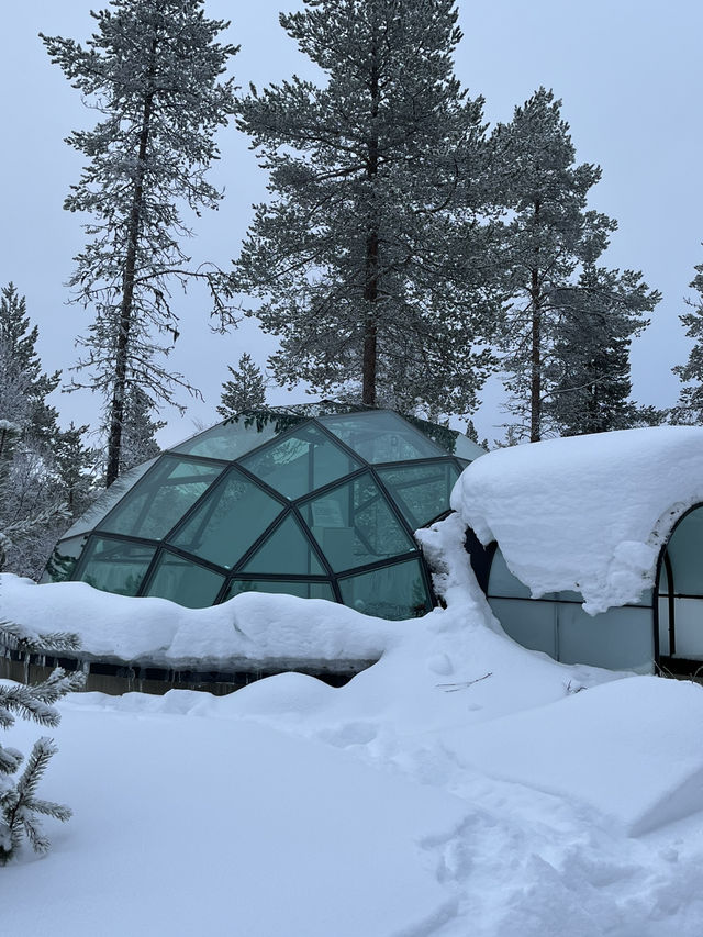 Finland | Stay in a glass igloo and enjoy the night 