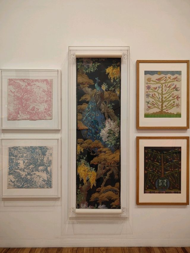 Whitworth’s Tree Gallery — Where Roots Speak and Branches Remember Whitworth’s Tree Gallery — Where Roots Speak and Branches Remember