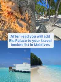 Welcome in Riu Palace 🌊✨Maldives 