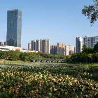 Strolling Through Ganzhou Central Park 🌳🚶♂️💫
