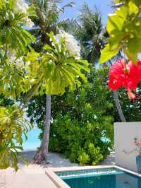 Maldives 🇲🇻 — Where Beauty Meets Opportunity