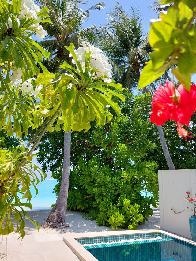 Maldives 🇲🇻 — Where Beauty Meets Opportunity Maldives 🇲🇻 — Where Beauty Meets Opportunity