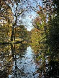 Beautiful Park & Local Food in Berlin🧡🇩🇪