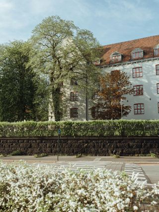 冬日公園的寂靜與紅色長椅形成對比。