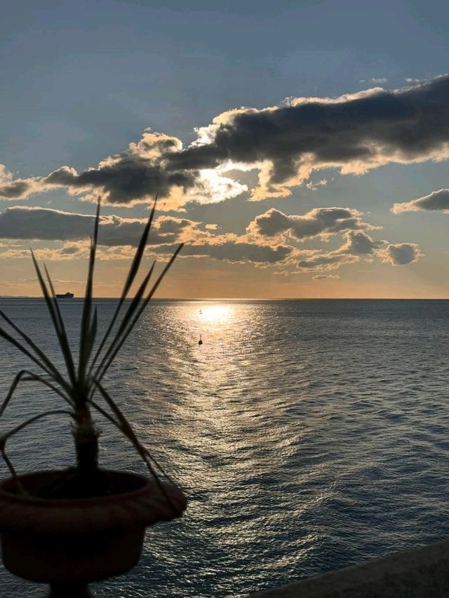 Sunlit Waterside🌊 Sunlit Waterside🌊