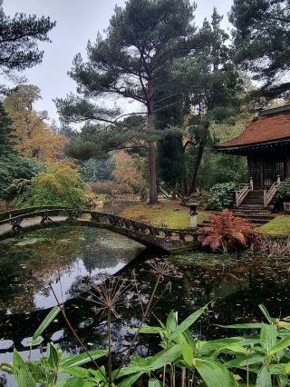 🍁 태튼 공원 – 웅장한 시골 저택의 가을 단풍 🦌🍂