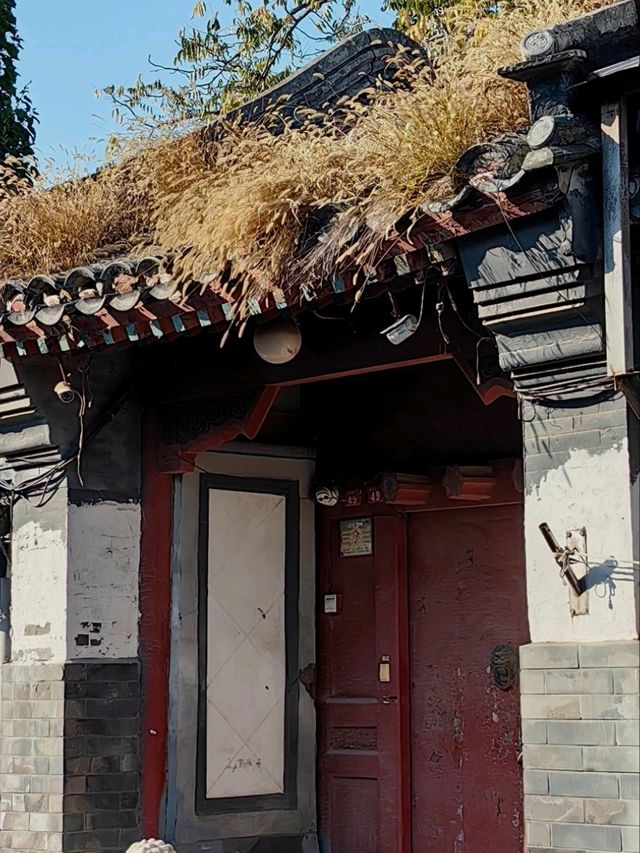 Гайд по Пекину: Аутентичные хутуны,Храм Белой Ступы и аптека Гайд по Пекину: Аутентичные хутуны,Храм Белой Ступы и аптека