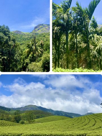 Sunset Over the Hills