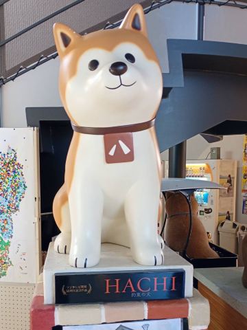 秋田犬物語🐶 | Trip.com 大館
