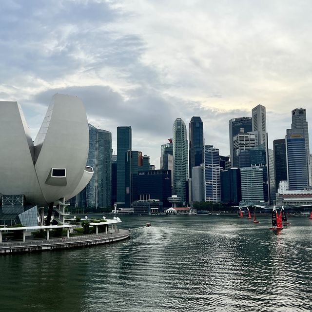 Malaysia 🇲🇾 & Singapore 🇸🇬 