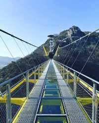 Wow! This suspension bridge is so exciting!