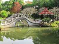 Hong Kong Deep Tour - Sha Tin Central Park