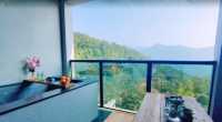 Cloud Sea Private Hot Spring ♨️ Hidden Boutique Homestay in Guangdong Mountain Village