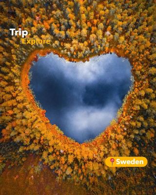 5 iconic places to enjoy the aura of yellow color