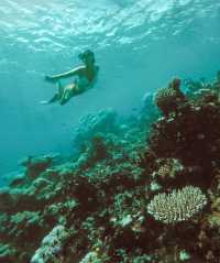 Nature's Gift at Park Hyatt Maldives: Unspoiled Beauty 🐢🦈