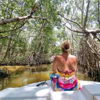 🇲🇽 Explore Yucatan Peninsula 🇲🇽 