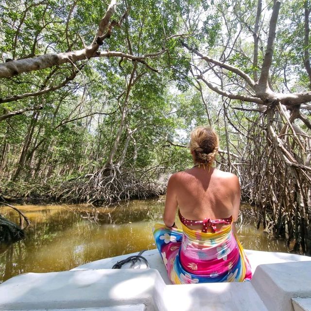 🇲🇽 Explore Yucatan Peninsula 🇲🇽 