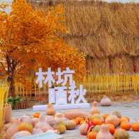 比起婺源篁岭！我更喜歡溫州林坑古村落
