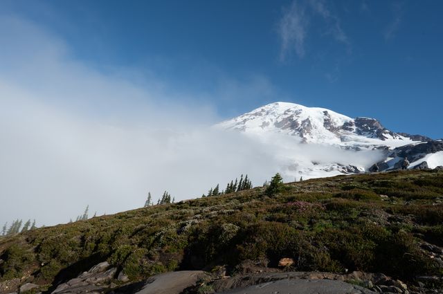 北美州名聞暇迩的雷尼爾山
