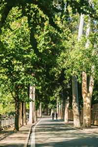 福州國家森林公園的遊玩推薦