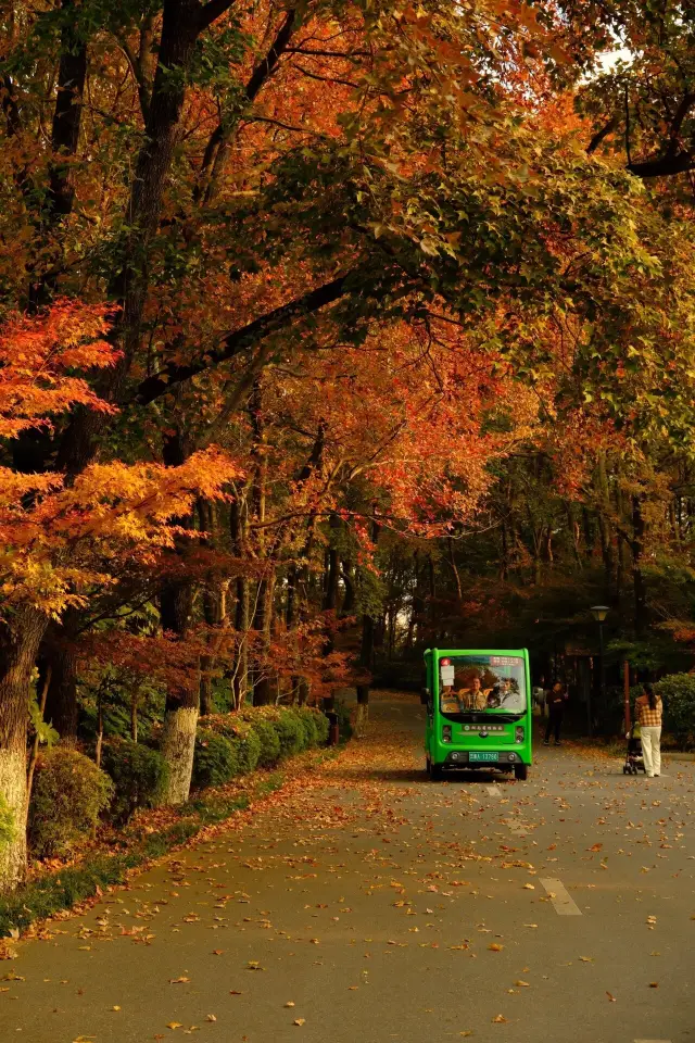 北京に行けないわけではなく、長沙の方がコストパフォーマンスが高いです