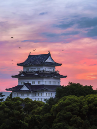 Find Serenity at Odawara Castle 🍵