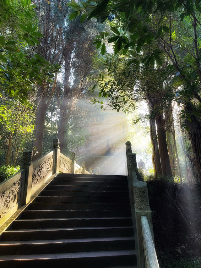 清晨的國清寺，最為幽靜和治癒