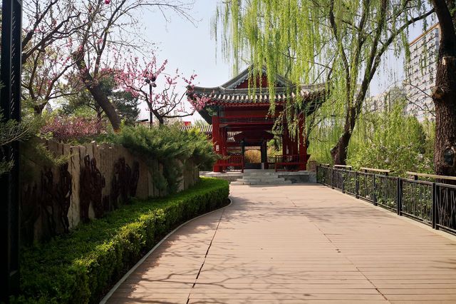 像一條狹長綠色飄帶的城市公園